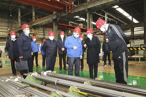 丁錦霞帶隊調研石家莊市復工復產企業特種設備安全保障工作